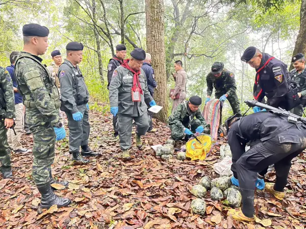 ภาพข่าว ทหารพรานยึดยานรกฝิ่นดิบ57.6กิโลกรัมราคาร่วม2ล้านบาท - TIGER NEWS REPORT
