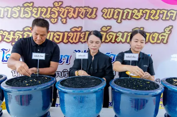 ภาพข่าว