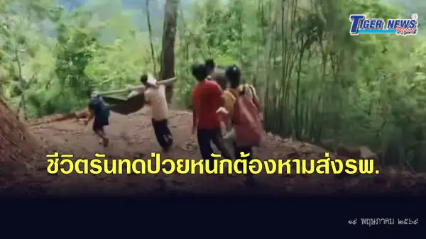 ภาพข่าว ชีวิตรันทด คนบ้านป่าบนดอยสูงในแม่สะเรียง จ.แม่ฮ่องสอน ป่วยหนักก็ต้องอดทนให้ชาวบ้านหาบหามฝ่าถนนที่ถูกตัดขาดมาหาหมอในโรงพยาบาลในตัวเมือง เพื่อรับการรักษา - TIGER NEWS REPORT