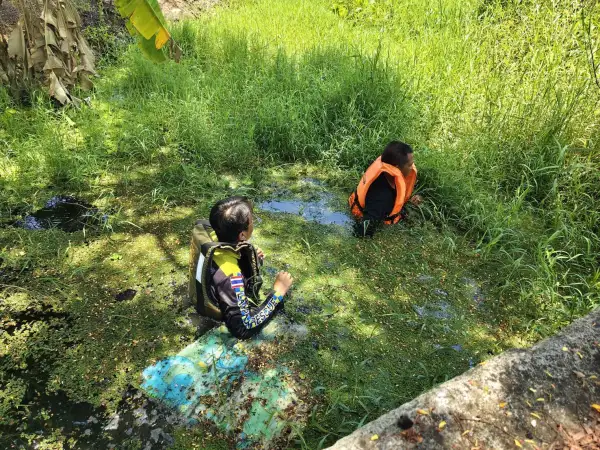 ภาพข่าว