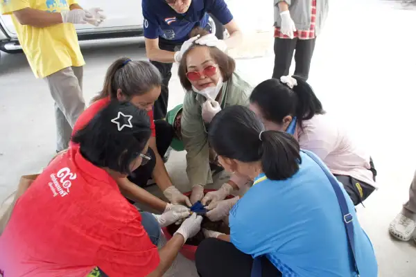 ภาพข่าว