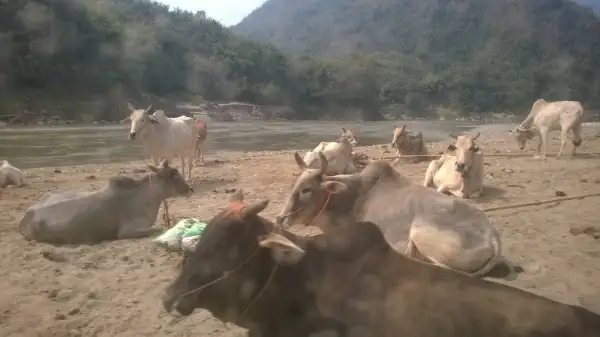 ภาพข่าว