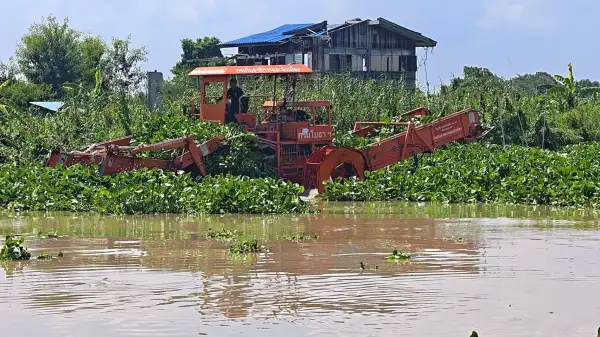 ภาพข่าว