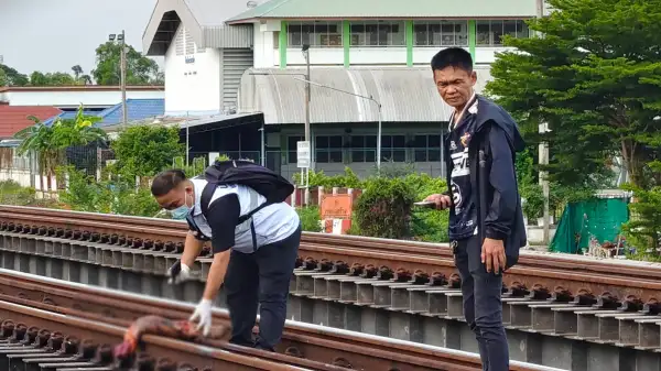 ภาพข่าว
