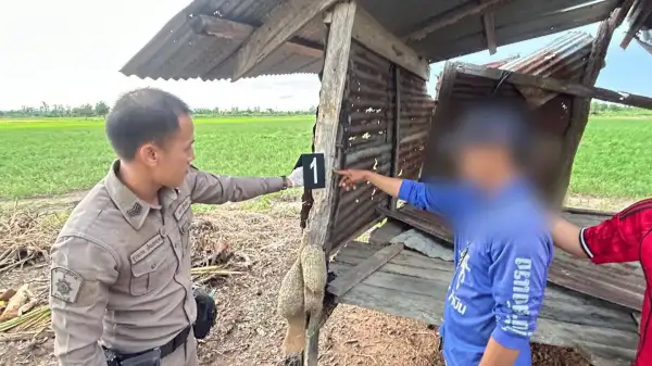 ภาพข่าว