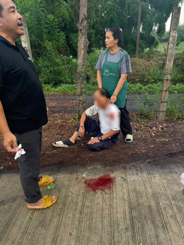 ภาพข่าว