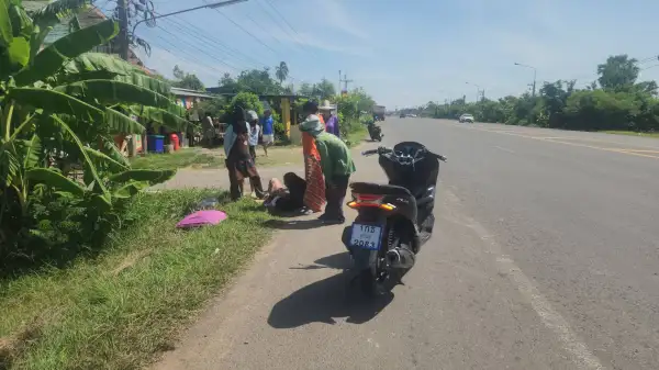 ภาพข่าว