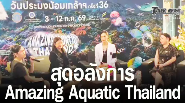 ภาพข่าว ปทุมธานี ยิ่งใหญ่ที่สุดในประเทศ แถลงข่าวจัดงาน วันประมงน้อมเกล้าฯ ครั้งที่ 36 ยกทัพสัตว์น้ำสุดอลังการภายใต้ธีม Amazing Aquatic Thailand - TIGER NEWS REPORT