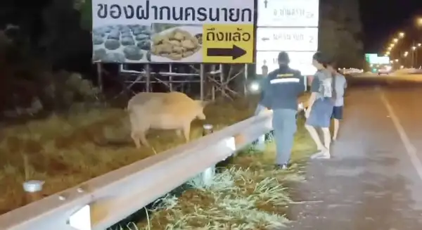 ภาพข่าว