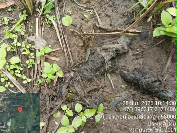 ภาพข่าว