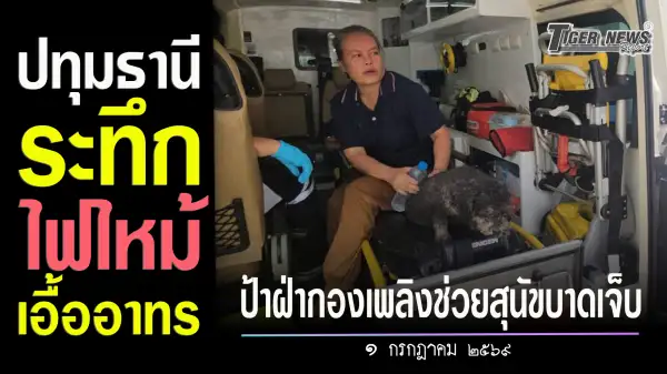ภาพข่าว