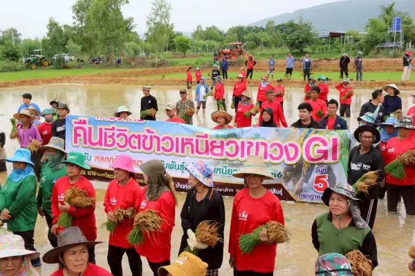 ภาพข่าว
