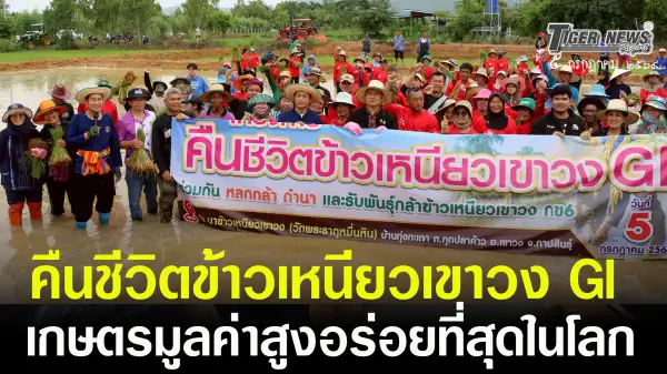 ภาพข่าว