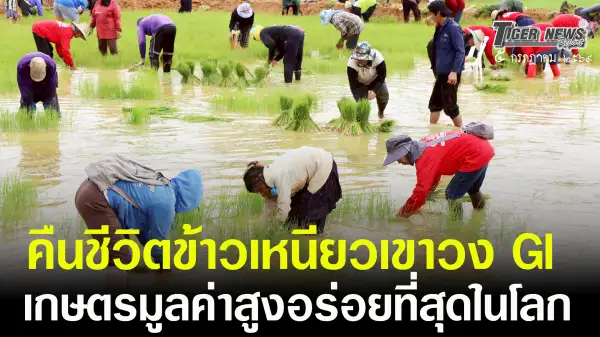ภาพข่าว