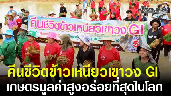 ภาพข่าว