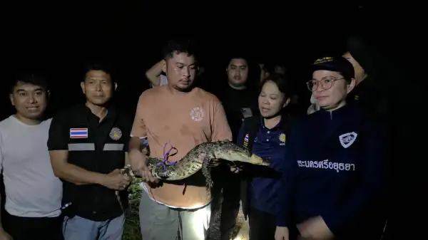 ภาพข่าว