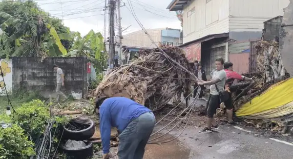 ภาพข่าว