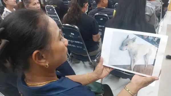ภาพข่าว