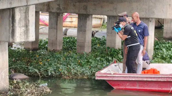 ภาพข่าว