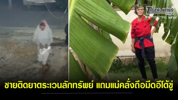 ภาพข่าว ปทุมธานี ชาวบ้านร้องสื่อ ชายติดยาตระเวนลักทรัพย์ แถมแม่คลั่งถือมีดอีโต้ขู่ - TIGER NEWS REPORT