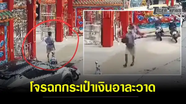 ภาพข่าว สุรินทร์-โจรฉกกระเป๋าเงินอาละวาด แม่ค้าในเขตเทศบาลหลายรายโดนฉกทรัพย์ - TIGER NEWS REPORT