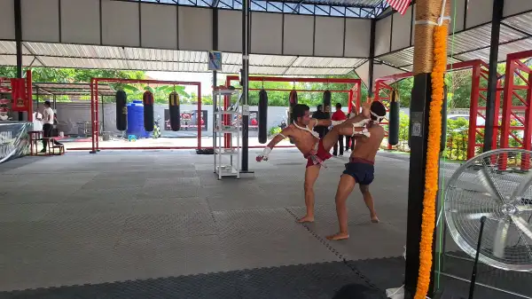 ภาพข่าว