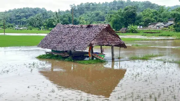 ภาพข่าว