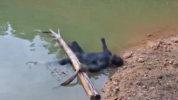 ภาพข่าว