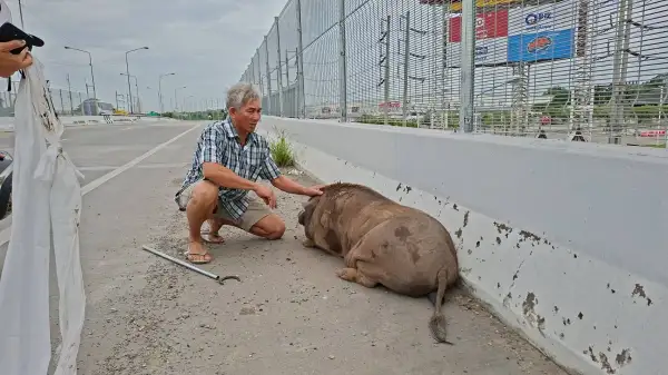 ภาพข่าว