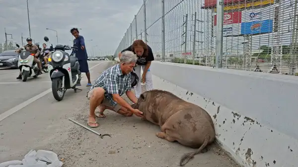 ภาพข่าว
