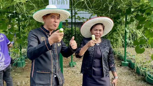 ภาพข่าว