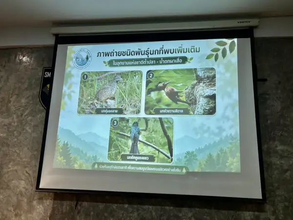 ภาพข่าว