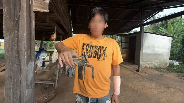 ภาพข่าว