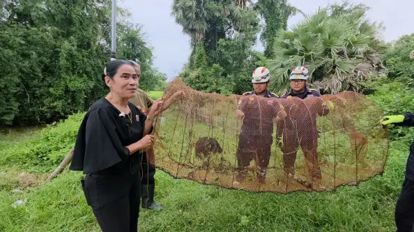 ภาพข่าว