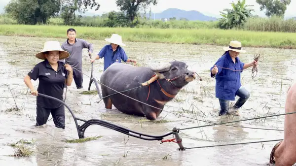 ภาพข่าว