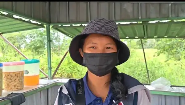 ภาพข่าว