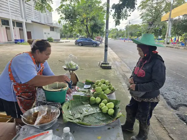 ภาพข่าว