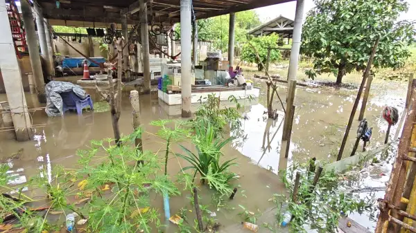 ภาพข่าว