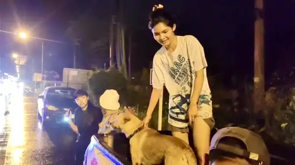 ภาพข่าว