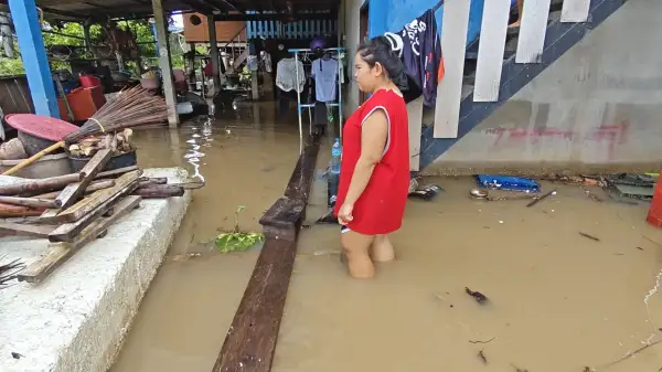 ภาพข่าว