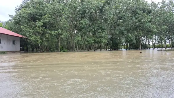 ภาพข่าว