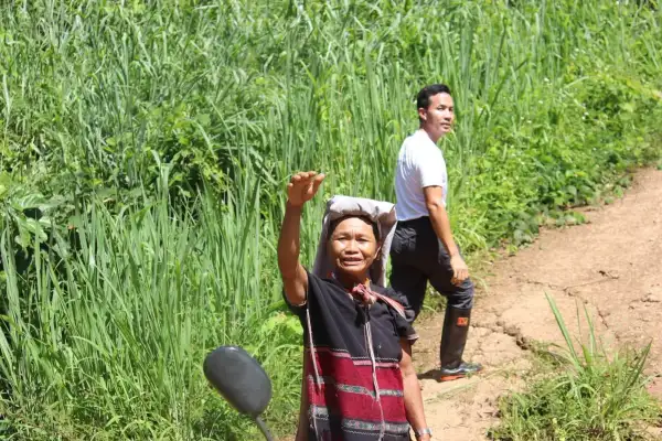 ภาพข่าว