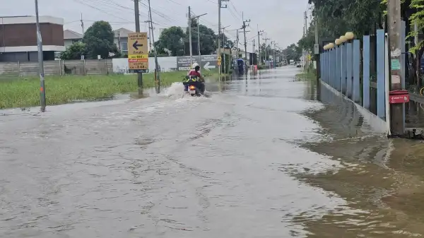 ภาพข่าว