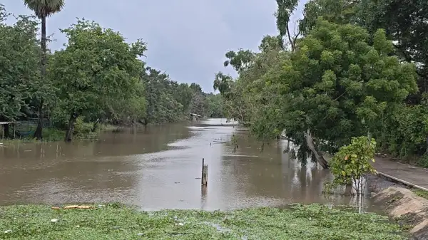 ภาพข่าว