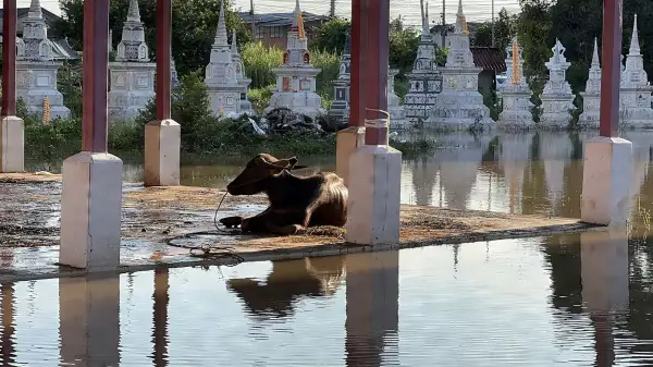 ภาพข่าว