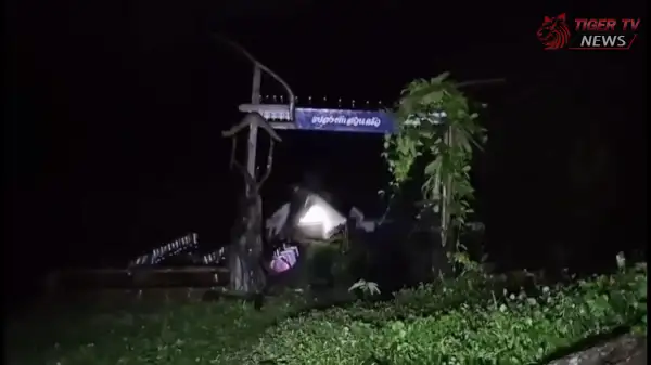 ภาพข่าว