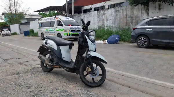 ภาพข่าว