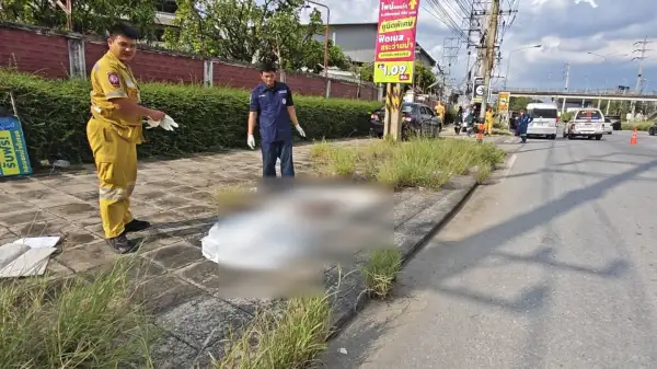 ภาพข่าว